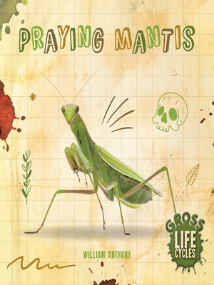 cover image of Praying Mantis